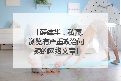 薛建华，私藏、浏览有严重政治问题的网络文章