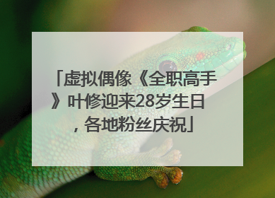 虚拟偶像《全职高手》叶修迎来28岁生日，各地粉丝庆祝