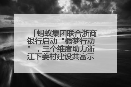 蚂蚁集团联合浙商银行启动“栀梦行动”，三个维度助力浙江下姜村建设共富示范区示范点