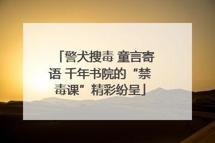 警犬搜毒 童言寄语 千年书院的“禁毒课”精彩纷呈