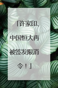 许家印、中国恒大再被签发限消令！
