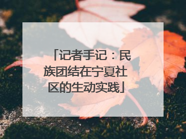 记者手记：民族团结在宁夏社区的生动实践