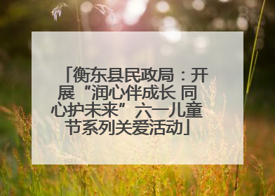 衡东县民政局：开展“润心伴成长 同心护未来”六一儿童节系列关爱活动