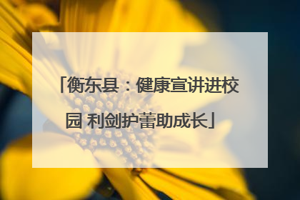 衡东县：健康宣讲进校园 利剑护蕾助成长