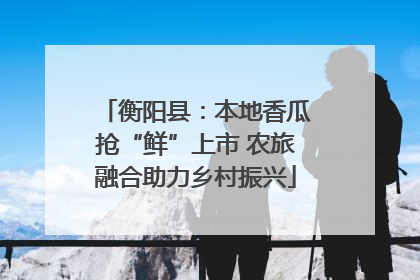 衡阳县：本地香瓜抢“鲜”上市 农旅融合助力乡村振兴