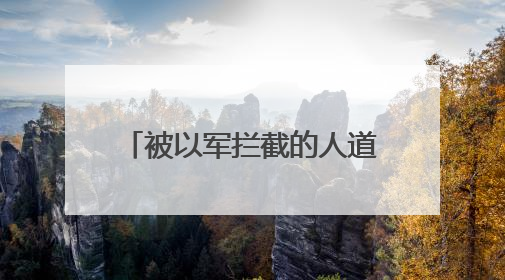 被以军拦截的人道主义救援船抵达以色列阿什杜德港