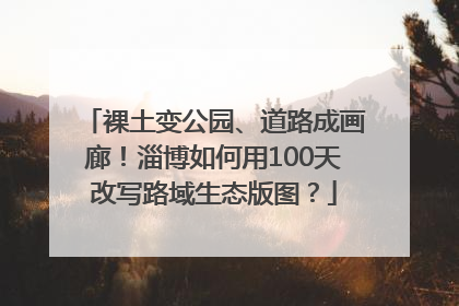 裸土变公园、道路成画廊！淄博如何用100天改写路域生态版图？