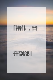 褚伟，晋升副部