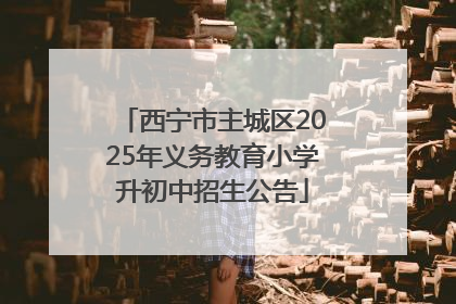 西宁市主城区2025年义务教育小学升初中招生公告