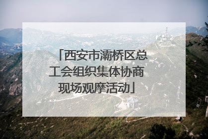 西安市灞桥区总工会组织集体协商现场观摩活动