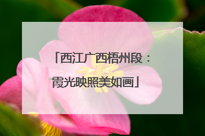 西江广西梧州段：霞光映照美如画