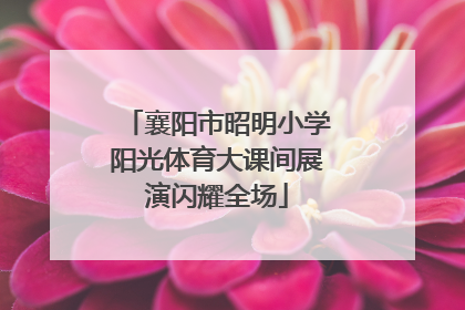 襄阳市昭明小学阳光体育大课间展演闪耀全场