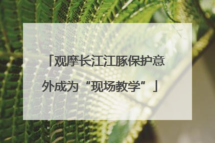 观摩长江江豚保护意外成为“现场教学”