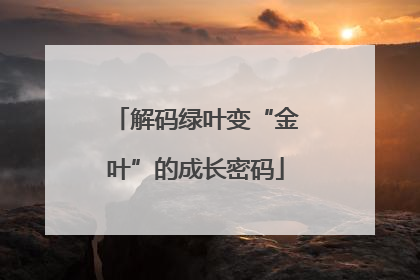 解码绿叶变“金叶”的成长密码