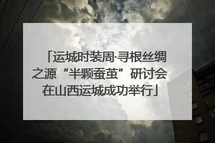 运城时装周·寻根丝绸之源“半颗蚕茧”研讨会在山西运城成功举行