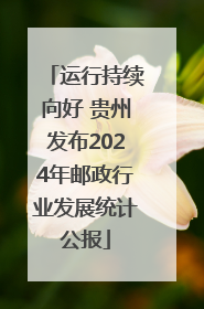 运行持续向好 贵州发布2024年邮政行业发展统计公报