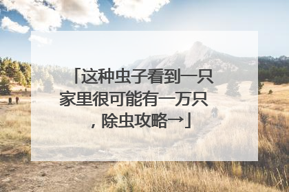这种虫子看到一只家里很可能有一万只，除虫攻略→