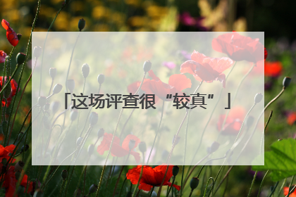 这场评查很“较真”