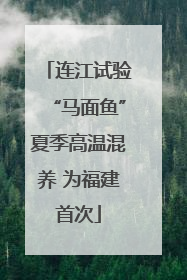 连江试验“马面鱼”夏季高温混养 为福建首次