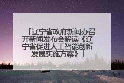 辽宁省政府新闻办召开新闻发布会解读《辽宁省促进人工智能创新发展实施方案》