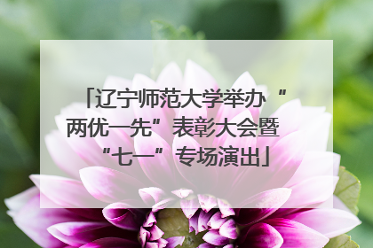 辽宁师范大学举办“两优一先”表彰大会暨“七一”专场演出