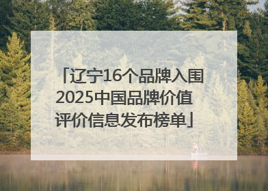 辽宁16个品牌入围2025中国品牌价值评价信息发布榜单
