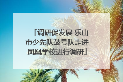 调研促发展 乐山市少先队鼓号队走进凤凰学校进行调研