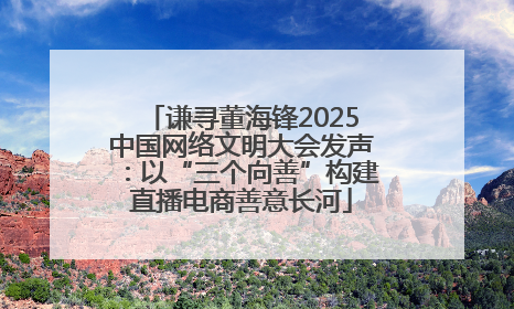 谦寻董海锋2025中国网络文明大会发声：以“三个向善”构建直播电商善意长河