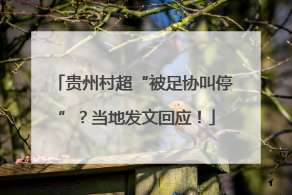 贵州村超“被足协叫停”？当地发文回应！