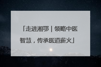 走进湘鄂｜领略中医智慧，传承医道薪火