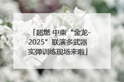 超燃 中柬“金龙-2025”联演多武器实弹训练现场来啦