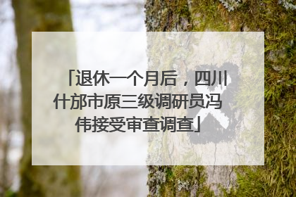 退休一个月后，四川什邡市原三级调研员冯伟接受审查调查