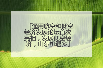 通用航空和低空经济发展论坛首次亮相，发展低空经济，山东机遇多