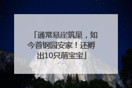 通常悬崖筑巢，如今首钢园安家！还孵出10只萌宝宝