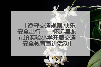 遵守交通规则 快乐安全出行——怀远县龙亢镇实验小学开展交通安全教育宣讲活动