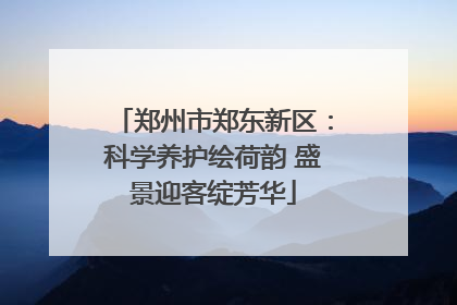 郑州市郑东新区：科学养护绘荷韵 盛景迎客绽芳华
