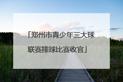 郑州市青少年三大球联赛排球比赛收官