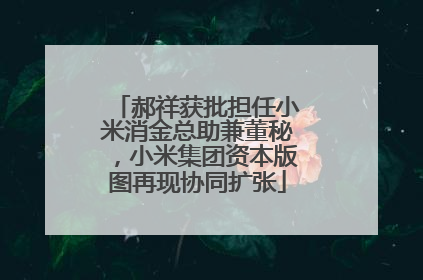 郝祥获批担任小米消金总助兼董秘，小米集团资本版图再现协同扩张