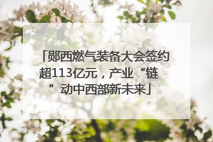 郧西燃气装备大会签约超113亿元，产业“链”动中西部新未来