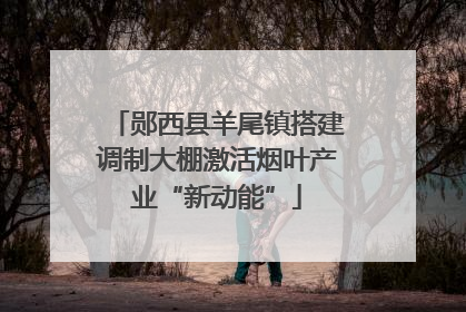 郧西县羊尾镇搭建调制大棚激活烟叶产业“新动能”