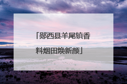 郧西县羊尾镇香料烟田焕新颜