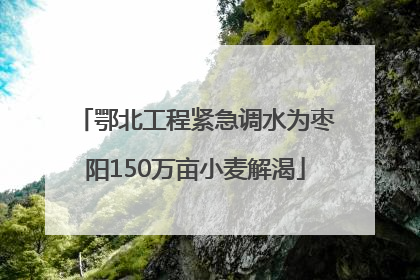 鄂北工程紧急调水为枣阳150万亩小麦解渴