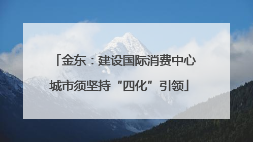 金东：建设国际消费中心城市须坚持“四化”引领