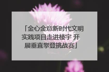 金心金意新时代文明实践项目走进楼宇 开展垂直攀登挑战赛