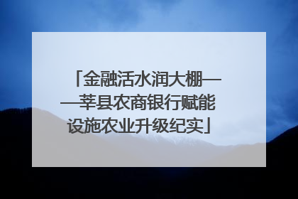 金融活水润大棚——莘县农商银行赋能设施农业升级纪实