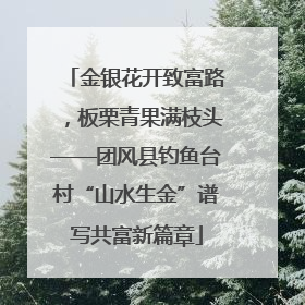 金银花开致富路，板栗青果满枝头——团风县钓鱼台村“山水生金”谱写共富新篇章
