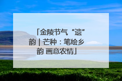 金陵节气“遗”韵｜芒种：笔绘乡韵 画意农情