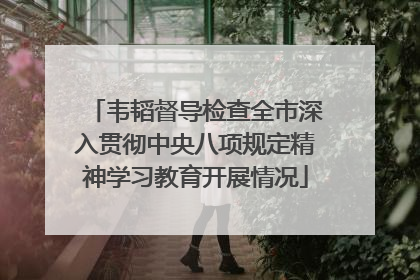 韦韬督导检查全市深入贯彻中央八项规定精神学习教育开展情况