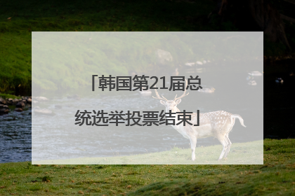 韩国第21届总统选举投票结束