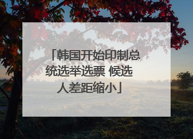 韩国开始印制总统选举选票 候选人差距缩小